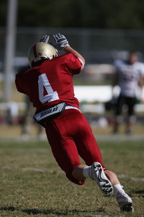 爱游戏下载-五大联赛中下游球队是否易受心理波动影响表现，5大联赛球队  第2张